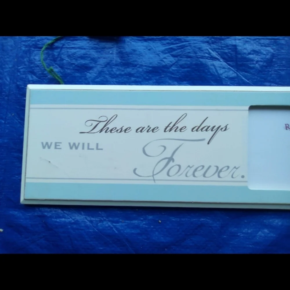 These Are The Days We Will Forever
